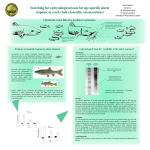 Size-dependent Shifts in the Alarm Response of Creek Chub