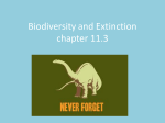 Biodiversity and Extinction chapter 11.3