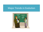 Major Trends in Evolution