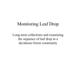 Monitoring Leaf Drop
