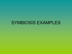 SYMBIOSIS EXAMPLES - Marblehead High School