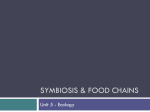 Symbiosis & Food Chains