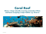 Coral Reef Biome: a large naturally occurring community of