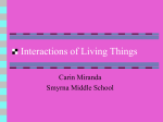 Interactions of Living Things