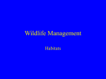 Wildlife Management - Midlands State University