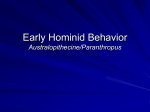 Early Human Behavior