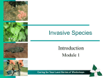 Invasive Species - Eastern Ontario Model Forest