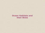 CHAPTER 13 OCEAN HABITATS AND THEIR BIOTA