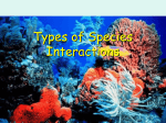 Types of Species Interactions