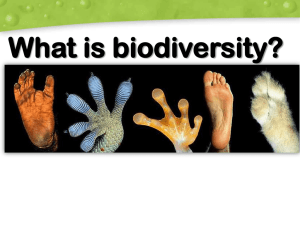 Notes Biodiversity