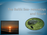 The Baltic