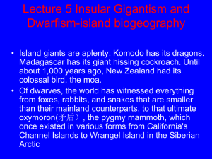 Lecture 5 insular gigantism and dwarfism