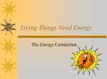 Living Things Need Energy cp1 ec2