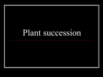Plant Succession Slide