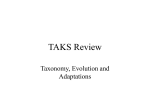TAKS Review - SchoolNotes