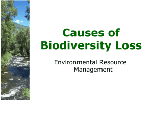 Biodiversity Loss