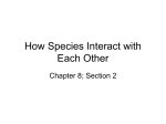 How Species Interact with Each Other
