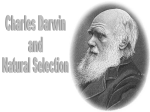 Darwin and natural Selection