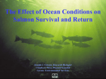 Coastal Ocean Variability and Ocean Survival of Coho Salmon