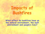Impacts of Bushfires