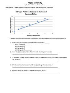 Algae Diversity