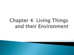 Chapter 4: Living Things and their Environment