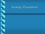 What Is a Population?