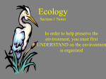 Ecology Section 1 Notes