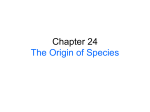 Chapter 24 PowerPoint - The Origin of Species