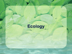 Ecology - bulldog biology