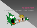 food chains - IES Galileo Galilei