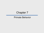 Chapter 6 Primate Behavior