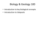 BIO100 KEY CONCEPTS and TIDEPOOLS-