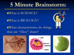 5 Minute Brainstorm:
