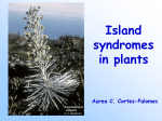 Island Syndromes in Plants