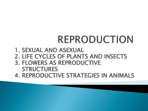 reproduction - Teaching Biology Project