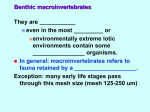 Benthic macroinvertebrates