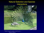 Species and Population Interactions PPT