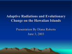 Adaptive Radiations on Islands, and Evolutionary Change