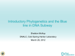 Blue_line_phylo_intro