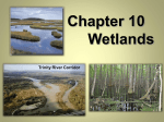 Wetlands Notes part 1