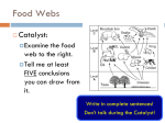 Food Webs - JhaveriChemBioWiki