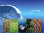 Biomes and succession ppt