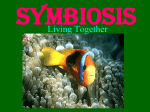Symbiosis Power Point