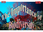 The Importance of Biodiversity