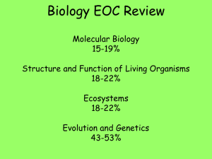 EOC Review PowerPoint