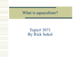 What is aquaculture and why is it creating so much interest?
