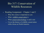 conservation biology