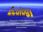 Ecology - My eCoach