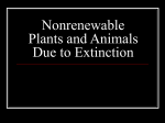 Nonrenewable Plants and Animals Due to Extinction